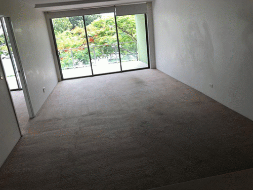 Is your carpet looking horrible due to dirt? Call professionals of Gill Five Star to offer high-quality carpet cleaning services. Call us at 0472707043. https://www.gillfivestarcleaning.net/