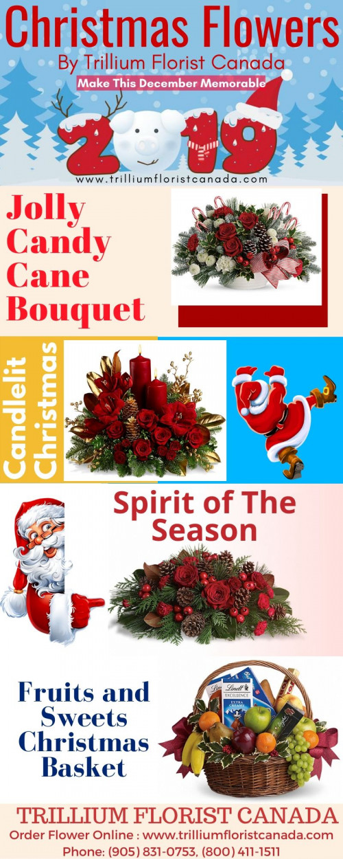 The relationship of flowers with the celebration of Christmas is Special. Christmas will never be complete without Food, Flowers and the most important Gifts. Best Florist in Toronto understands the joy and spirit of Christmas. So here we are with our Hand Picked Christmas Flowers for this 25th Dec 2019. By Ordering Flowers Online Toronto you can get the benefit of the same day Flowers Delivery in Toronto and Pickering, Ajax, Whitby, Oshawa & Markham. So visit https://www.trilliumfloristcanada.com/ to get one for you