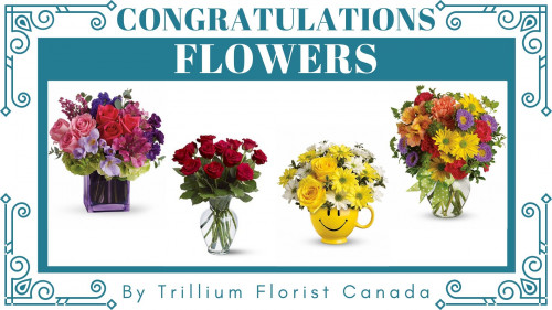 The Best Florist in Toronto understands the importance of Flowers that help you celebrate and cherish every precious moment to say congratulations to friends, family and loved ones. Celebrating newborn or recent graduation with Congratulations Flower Arrangement. on  https://www.trilliumfloristcanada.com/congratulations-flowers/cat4890122