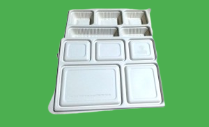 Cornstarch-5-cp-Tray-2-1-removebg-preview.png