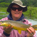 DM_Waterloo_17dot25inBrownTrout_8-19-2015a