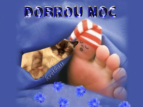 Dobrou-noc631e3c55b85036c6.gif