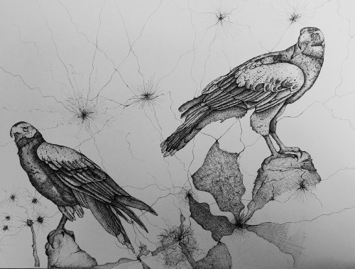 Pen and ink drawing of eagles. The artist wants to show the anger and strength in eagles and insists that humans should be alert and agile like eagles.