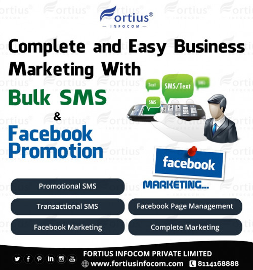 Easy-Business-Promotion-Through-Facebook--Bulk-SMS-Marketing.jpg