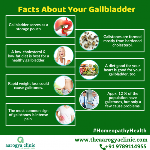 Facts-About-Your-Gallbladder-Homeopathy-Clinic-For-Gallstone-In-Vellore.png