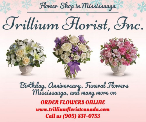 Get the most beautiful and freshest bouquet by the Best Florist in Mississauga. Flower Shop in Mississauga has a wide range of hand picked flowers and bouquets, exactly what you’re looking for the weather it is flowers for occasions like Birthday, Anniversary and Funeral Flowers Mississauga and gets the advantage of same day flowers delivery in Toronto, Pickering, Ajax, Whitby, Oshawa & Markham by ordering from https://www.trilliumfloristcanada.com/