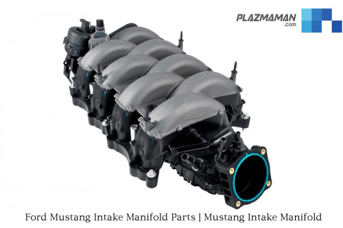 Ford-Mustang-Intake-Manifold-Parts-Mustang-Intake-Manifold.jpg