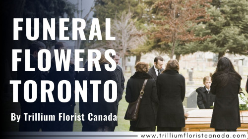 Trillium Florist Canada will provide you the best and the most quality Funeral Flowers Arrangements in Toronto. For your convenience, a list of Funeral Flowers Toronto has been created to make the decisions about the funeral service like Flowers Delivery Whitby and Ordering Flowers Online Toronto, Pickering, Ajax, Whitby, Oshawa & Markham easier for you to make on our website. https://www.trilliumfloristcanada.com/