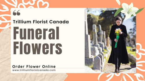 So, express your heartfelt sympathies by giving any one of our Funeral Flowers Toronto, and casket flower only in $125 to $175 with Funeral Flowers arrangements in Toronto to the family of a recent past loved one. Ordering Flowers Online Toronto, Pickering, Ajax (Ontario) and surrounding GTA. For more information visit https://www.trilliumfloristcanada.com/funeral-125-175/de-116564