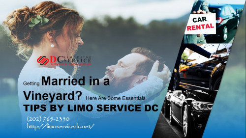 Getting-Married-in-a-Vineyard.-Here-Are-Some-Essentials-Tips-by-Limo-Service-DC.jpg