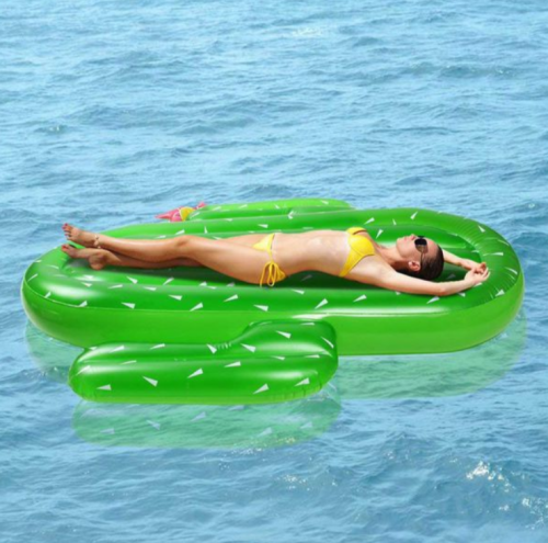 Giant-Inflatable-Cactus-Pool-Floa-3.png