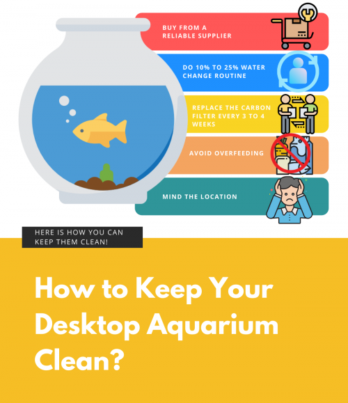 How-to-Keep-Your-Desktop-Aquarium-Clean102e200576398de4.png