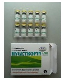 Hygetropin-100iu-Kits.jpg