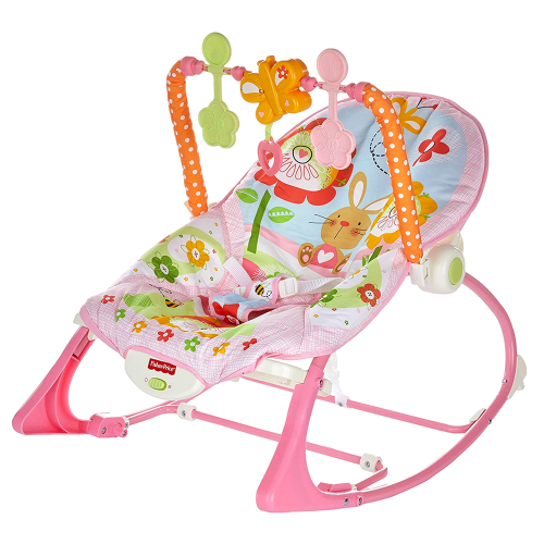 Infant to Toddler Rocker 1