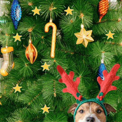 BRIXS, Christmas, Feestdagen, Kerst, kerstdagen, hond, christmas tree, green, red, santa, sled, santa sled, ornaments