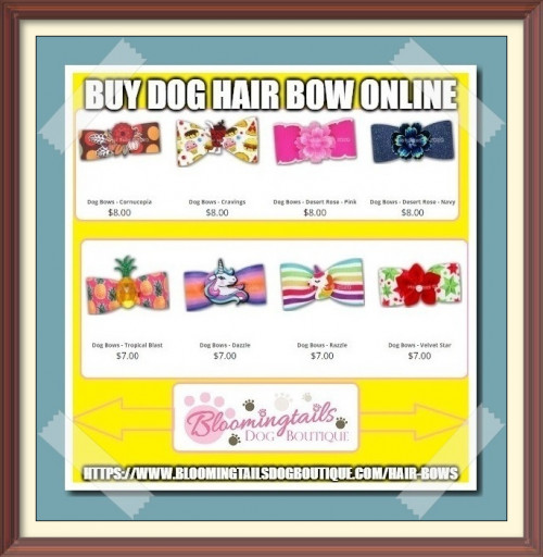 You find the best bow for your lovely friend in our store. Buy beautiful bows today for your companion. https://bit.ly/3R4Eyr4