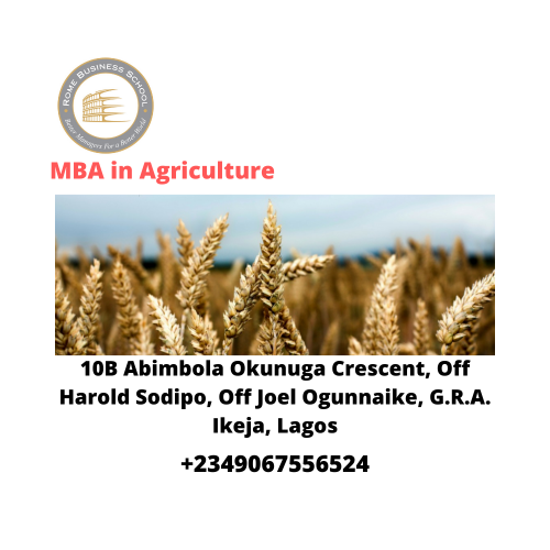 MBA-in-Agriculture91f27657f37f1f55.png