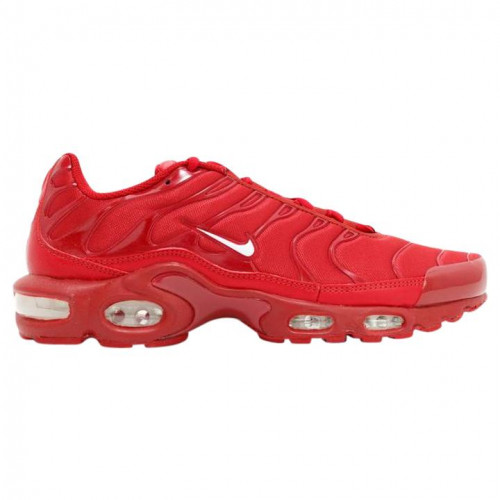 Nike-air-max-plus.jpg