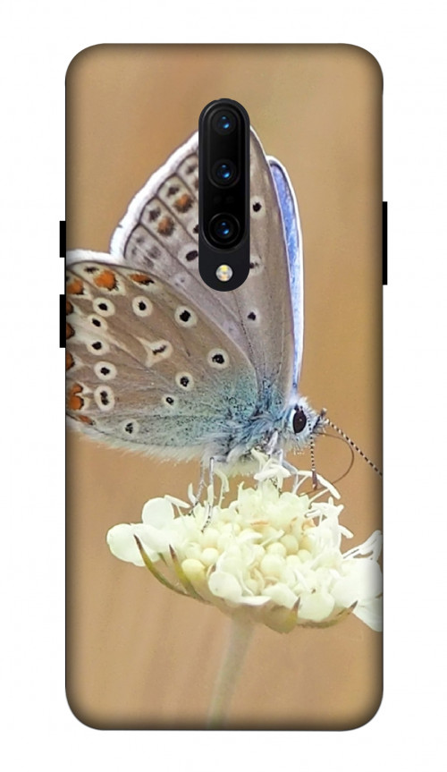 OnePlus 7Pro 1524