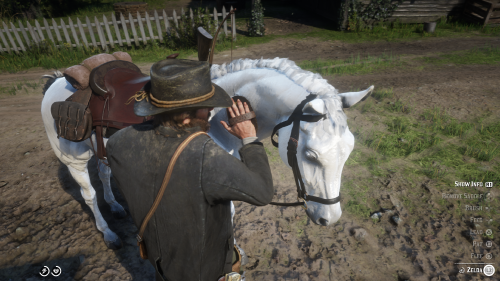 PSPro Red Dead Redemption 2 20181031061006