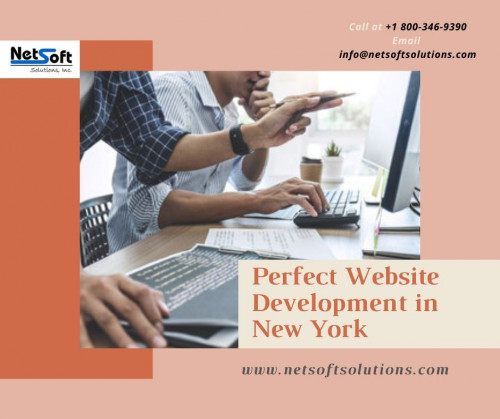 Finding the best Website Development in New York organization is quite a difficult task for the developers. Build an ideal website for your business through numerous multiple-choice of website development platforms available in New York.

http://www.netsoftsolutions.com/website-development/