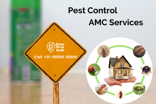 Pest-Control-AMC-Services.png