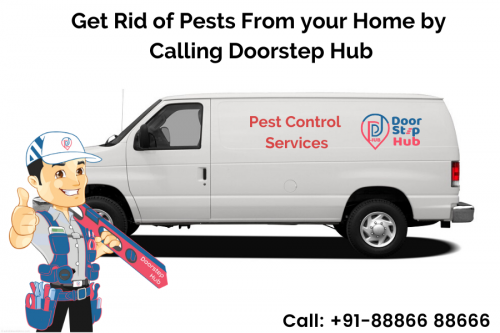 Pest-Control-Services.png