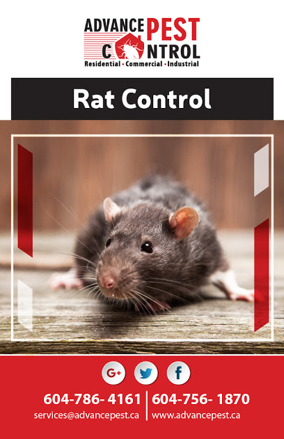 Pest-control-Langleyaea9b15978aa677f.jpg