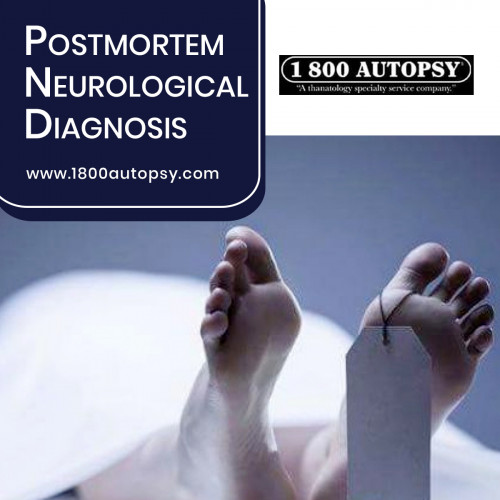 Postmortem-Neurological-Diagnosis.jpg