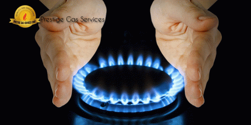 As a natural gas company, Prestige Gas Services ensures environmentally friendly and affordable gas-plans for its customers. Reach us at +305-300-0608.