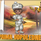 Prima-odpoledne