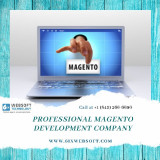 Professional-Magento-Development-Company