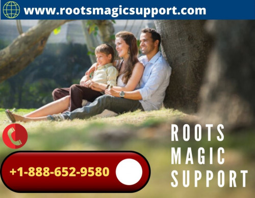 ROOTS MAGIC SUPPORT