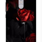 Redmi_Note-3_0516