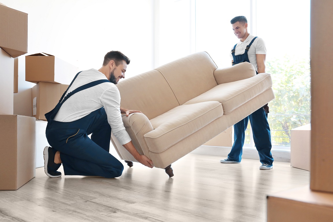 Best Furniture Removals in Wellington at Low Price.
