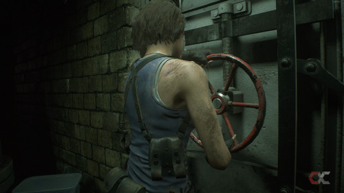 Resident Evil 3 Remake Overcluster 16