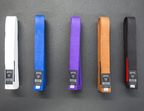 When you indulge in the game, it signifies a ranking system with a belt that defines the practitioner level. The journey from one belt color to the next involves mastering techniques at a certain level of proficiency. These belts come in different colors to differentiate the stage a practitioner practiced. The belt serves as a visible recognition of their achievement. The journey of one belt to another involves a certain level of specification. 
Let's discuss the color of the belt and jiu jitsu belt system in today's article: -
White belt
A white belt is a welcome belt that symbolizes the learning stage of the player. This stage helps to learn all the techniques to play the game.
Blue Belt
When attaining a blue belt in a career, it means the player has learned and understood all the basics of the game. He spent thousands of hours on the mat to implement these movements efficiently.
Brown Belt
 Brown belt represents a higher level of proficiency who have extensive knowledge of techniques, strategies, and theory. A brown belt is issued when a student completes 16 years of age.
Black belt
A black belt is considered the highest rank and represents the mastery of art. Ideally, there are multiple degrees of black belt. Each is denoted by a stripe or a degree belt. 
Whenever you plan to enroll for BJJ, check out the web store Hooks Jiujitsu to shop for different varieties of sportswear and accessories. Visit the store and start your training today! For more info, kindly visit https://hooksbrand.com/collections/bjj-belts