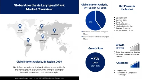 Anesthesia Laryngeal Masks Market Overview