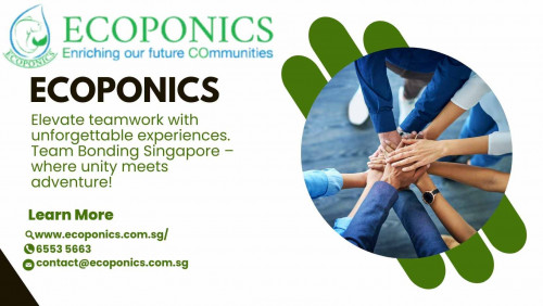 EcoPonics offers the best terrarium kits in Singapore which you can use to design on your own. You can buy from our wide range of terrarium plants and craft supplies from our online shop in Singapore. 
Website:https://www.ecoponics.com.sg/
Phone: 6553 5663
Address: 37 Jalan Pemimpin MAPEX #03-10 Singapore 577177
Business Email : contact@ecoponics.com.sg