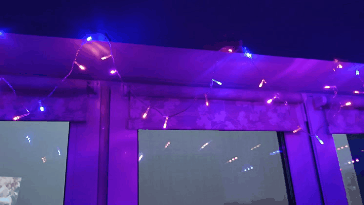 SRg8Z.gif