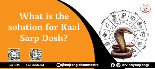 In the realm of Vedic astrology, the Kaal Sarp Dosh is a topic that has intrigued both astrologers and those seeking astrological guidance. This dosh, or planetary condition, can have a significant impact on one's life, leading to various challenges and obstacles. In this blog, we will explore the nature of Kaal Sarp Dosh and delve into the solutions offered by esteemed astrologer Dr. Vinay Bajrangi. If you are looking kuja dosha contact us. For more info visit: https://www.vinaybajrangi.com/kundli-doshas/kaal-sarp-dosha.php | https://www.vinaybajrangi.com/kundli-doshas/manglik-dosha.php | https://www.vinaybajrangi.com/services/online-report/mangal-dosha-calculator.php