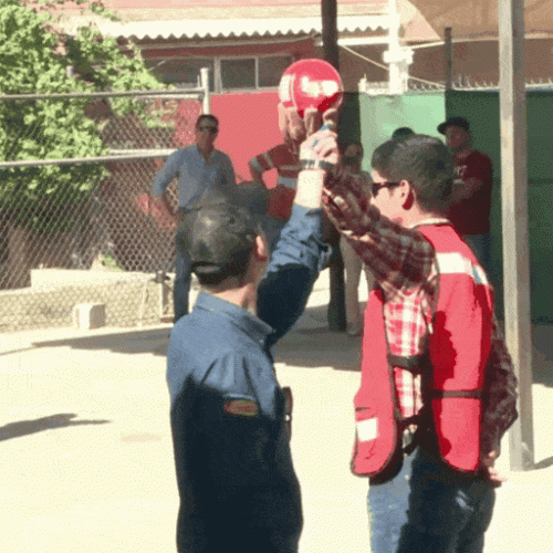 SRvFr.gif