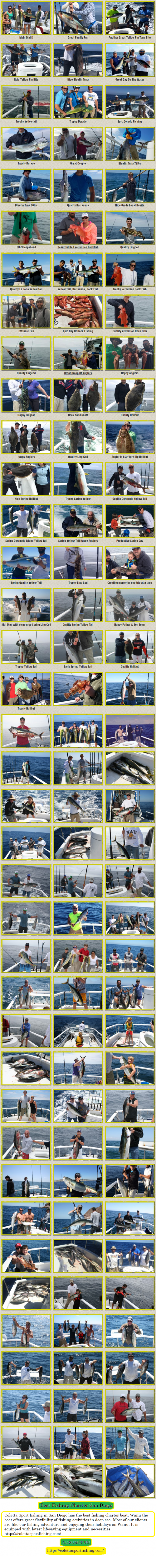 Coletta Sport fishing in San Diego has the best fishing charter boat. Wanu the boat offers great flexibility of fishing activities in deep sea. Most of our clients are like our fishing adventure and enjoying their holidays on Wanu. It is equipped with latest lifesaving equipment and necessities. For more information visit our website, https://colettasportfishing.com/