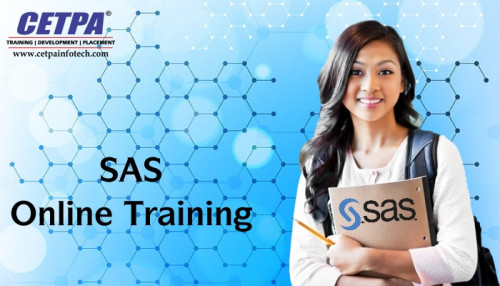 Sas-online-training-In-Noida.jpg