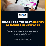 Search-for-the-best-Shopify-Designers-in-New-York