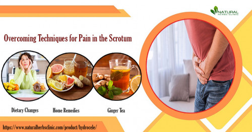 Get knowledge about how to overcome Pain in the Scrotum and find healing. We’ll cover the causes of scrotal pain, how to recognize it. https://www.naturalherbsclinic.com/blog/overcoming-pain-in-the-scrotum-from-hesitation-to-healing/