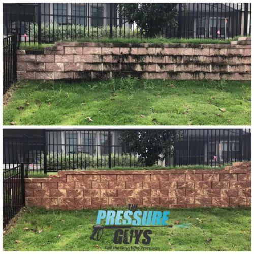 Best Wall and fence cleaning Oviedo, FL
