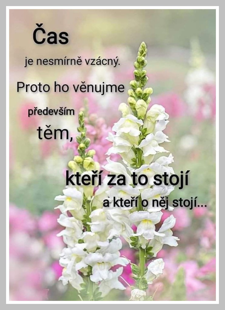 SijVr.jpg