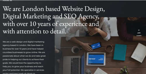 Website design and SEO services. Experienced local company helping local business to achieve the professional look and be visible online.

https://onegoodwebdesign.com/
