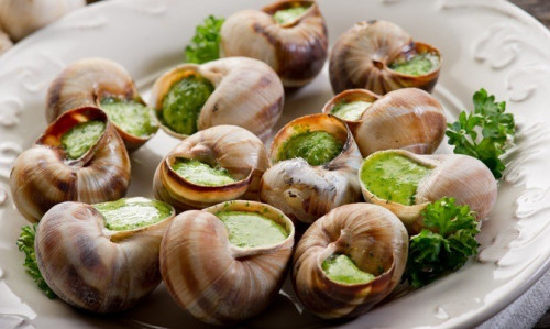 Snails